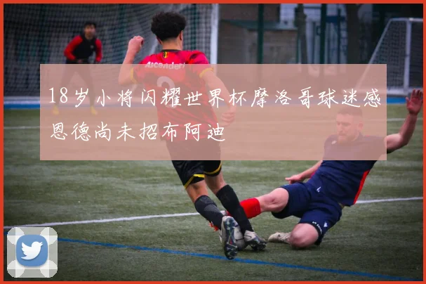 18岁小将闪耀世界杯摩洛哥球迷感恩德尚未招布阿迪